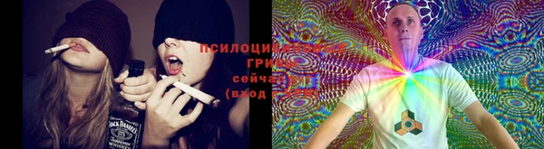 винт Балахна